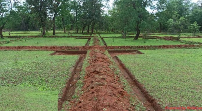 नरवा विकास: बिखेरते हरियाली के साथ वनांचल में भरा उल्लास