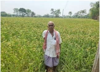 रागी मिलेट से कृषक डोंगर सिंह और विजयशंकर हुए समृद्ध, कम लागत में ज्यादा मुनाफा, रागी फसल से भर रहा खजाना