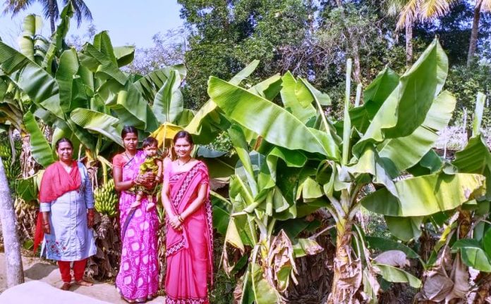 Poshan Bari in every house of the village, Bijapur, Naimed Nayapara Anganwadi center all the children out of malnutrition