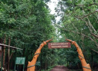 कांगेर घाटी राष्ट्रीय उद्यान में ‘युवोदय वन मितान’ कार्यशाला संपन्न