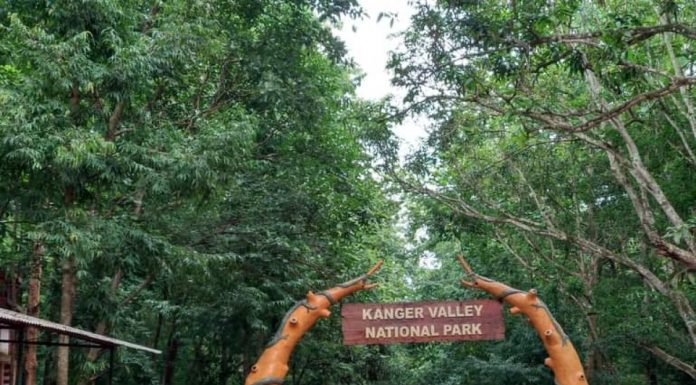 कांगेर घाटी राष्ट्रीय उद्यान में ‘युवोदय वन मितान’ कार्यशाला संपन्न