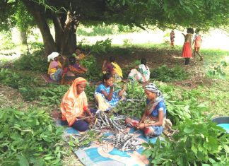 छत्तीसगढ़ में देश के तीन चौथाई लघु वनोपजों का संग्रहण