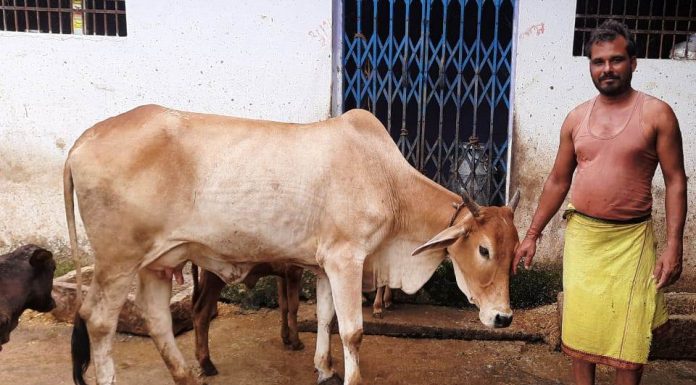 कृत्रिम गर्भाधान योजना से मिल रहा है आर्थिक संबल , योजना से प्रतिवर्ष हो रही है लगभग 4 लाख रूपए की सालाना आय