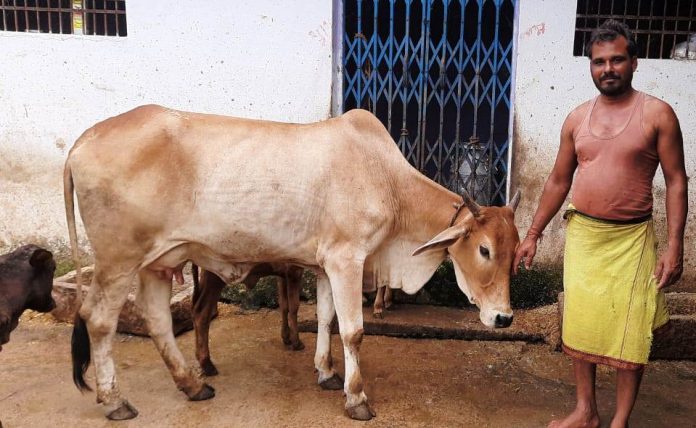 Artificial insemination scheme is providing financial support, the scheme is generating annual income of about Rs 4 lakh every year.