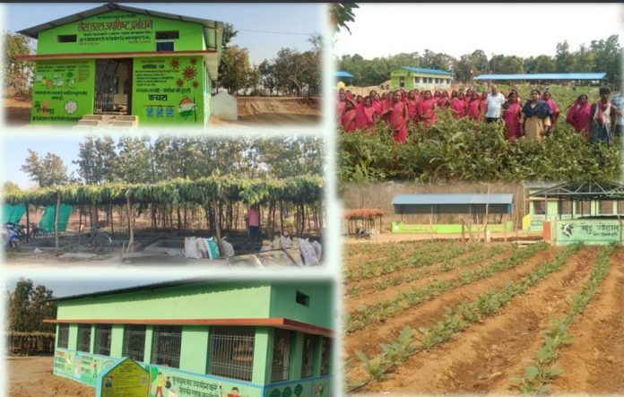 Path to economic prosperity paved by rotational grazing scheme