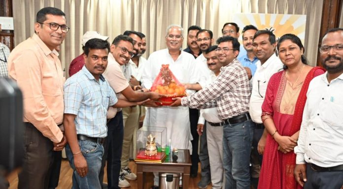 मुख्यमंत्री से छत्तीसगढ़ राज्य विद्युत मंडल अभियंता संघ ने की सौजन्य मुलाकात