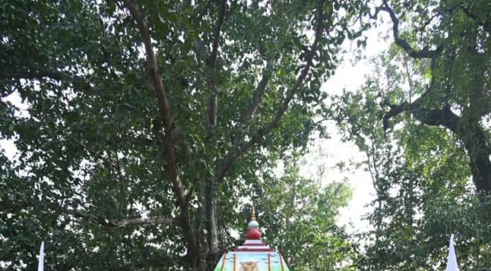 मुख्यमंत्री विष्णु देव साय और उनकी धर्मपत्नी कौशल्या साय ने बंदरचुवा के पास तुर्री पहुंचकर कुल देवता का किया दर्शन