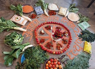 प्रधानमंत्री जनमन योजना का मुख्य उद्देश्य संपूर्ण रूप से सशक्त बनें पीवीटीजी समूहः मुख्यमंत्री विष्णुदेव साय