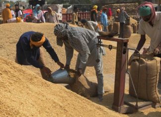 किसानों के हित में लिया बड़ा फैसला 4 फरवरी तक होगी समर्थन मूल्य और लिंकिंग पर धान खरीदी