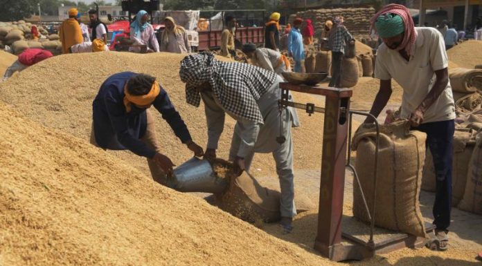 अब तक 138.78 लाख मीट्रिक टन धान की खरीदी