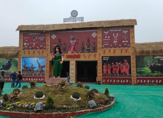 मुख्यमंत्री विष्णुदेव साय के नेतृत्व में बढ़ते छत्तीसगढ़ को देखने के लिए महाकुम्भ में श्रद्धालुओं में उत्साह