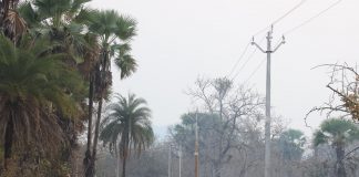 मुख्यमंत्री विष्णुदेव साय के नेतृत्व में नियद नेल्ला नार योजना से पुसकोंटा को मिली विकास की सौगात : छत्तीसगढ़ के दूरस्थ अंचल में आई रोशनी की नई किरण