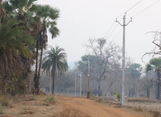मुख्यमंत्री विष्णुदेव साय के नेतृत्व में नियद नेल्ला नार योजना से पुसकोंटा को मिली विकास की सौगात : छत्तीसगढ़ के दूरस्थ अंचल में आई रोशनी की नई किरण