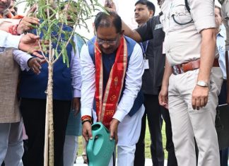 मुख्यमंत्री साय ने नवनिर्मित आधुनिक आयुर्वेदिक प्रसंस्करण इकाई और केन्द्रीय भंडार गृह परिसर का किया लोकार्पण