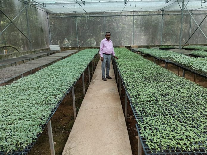 Mini Plug Type Seedling Unit: A New Solution for Farmers to Produce Quality Plants