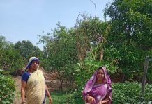 बारिश से पहले स्वास्थ्य विभाग अलर्ट, मौसमी बीमारियों की रोकथाम के लिए गांव-गांव पहुंच रही स्वास्थ्य सेवाएं