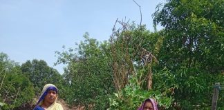 बारिश से पहले स्वास्थ्य विभाग अलर्ट, मौसमी बीमारियों की रोकथाम के लिए गांव-गांव पहुंच रही स्वास्थ्य सेवाएं
