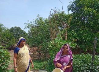 बारिश से पहले स्वास्थ्य विभाग अलर्ट, मौसमी बीमारियों की रोकथाम के लिए गांव-गांव पहुंच रही स्वास्थ्य सेवाएं