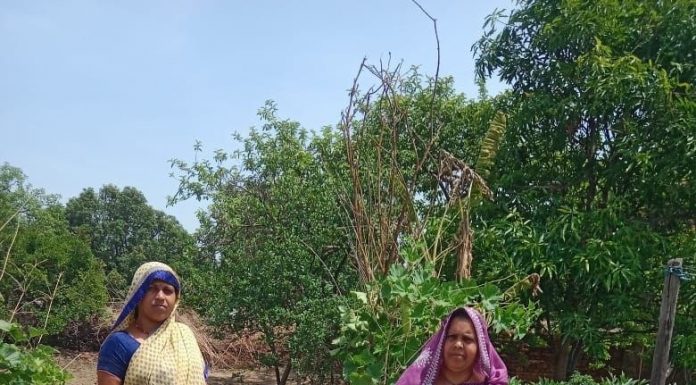 बारिश से पहले स्वास्थ्य विभाग अलर्ट, मौसमी बीमारियों की रोकथाम के लिए गांव-गांव पहुंच रही स्वास्थ्य सेवाएं
