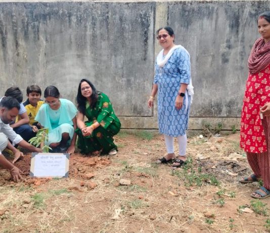 कोंडागांव में शुरू हुआ मुनगा पौधरोपण जन आंदोलन