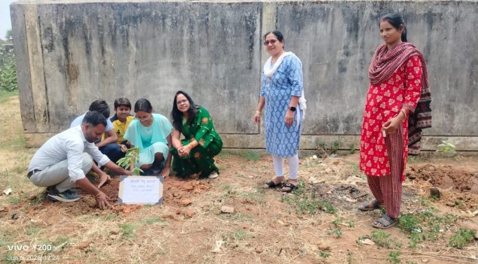 कोंडागांव में शुरू हुआ मुनगा पौधरोपण जन आंदोलन