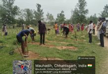 जशपुर जिले में 2 लाख 72 हजार साजा-अर्जुना पौधों का पौधरोपण शुरू