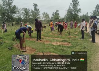 जशपुर जिले में 2 लाख 72 हजार साजा-अर्जुना पौधों का पौधरोपण शुरू