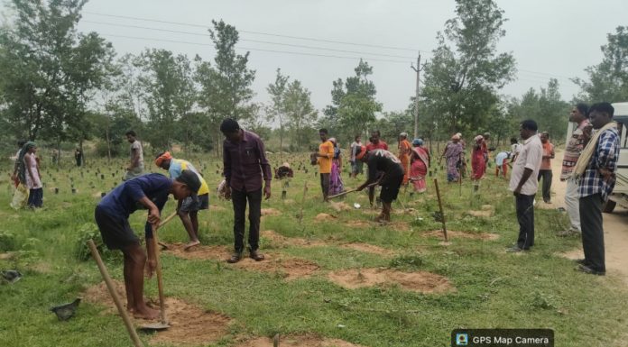 जशपुर जिले में 2 लाख 72 हजार साजा-अर्जुना पौधों का पौधरोपण शुरू