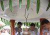 श्रम मंत्री लखनलाल देवांगन ने कोपाबेड़ा शिव मंदिर में की पूजा-अर्चना