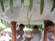 श्रम मंत्री लखनलाल देवांगन ने कोपाबेड़ा शिव मंदिर में की पूजा-अर्चना
