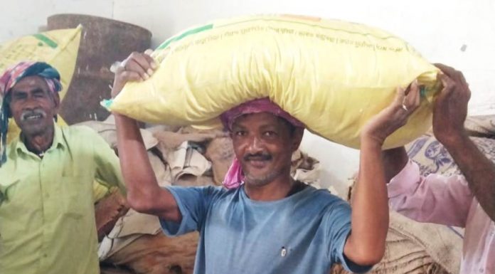 समय पर खाद मिलने से किसान गेंद लाल की बढ़ी उम्मीदें सहकारी समिति की सुचारू व्यवस्था से खेती की तैयारियां हुईं आसान