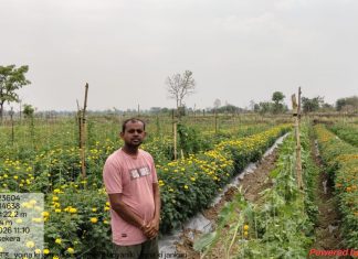 गेंदा फूल की खेती से किसान हेमचंद साहू की बदली तस्वीर