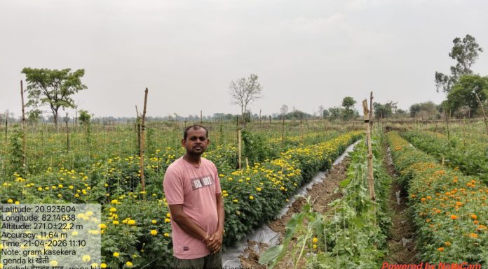 गेंदा फूल की खेती से किसान हेमचंद साहू की बदली तस्वीर