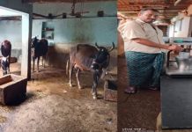 शासकीय योजना और वैज्ञानिक तकनीक से अंगेश्वर कुर्रे बने डेयरी उद्यमिता की मिसाल