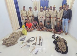 वन मंत्री केदार कश्यप के निर्देश पर इन्द्रावती टाइगर रिजर्व में वन्यजीव शिकार पर बड़ी कार्रवाई, 6 आरोपी गिरफ्तार