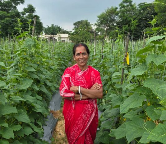 बिहान से बहनों को मिला आर्थिक संबल, खीरे की खेती से सुभद्रा मंडल ने लिखी आत्मनिर्भरता की नई कहानी