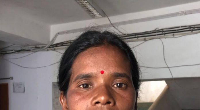 विष्णु भैया का संबल, बहनों की खुशहाली-महतारी वंदन से आत्मनिर्भर बन रहीं महिलाएं