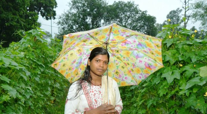 बाड़ी से निकली समृद्धि की राह, सपनों को मिली नई उड़ान