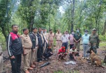 मृत भालू के नाखून काटकर ले जाने वाले दो आरोपी गिरफ्तार