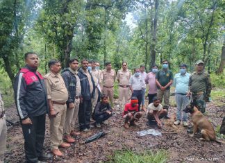 मृत भालू के नाखून काटकर ले जाने वाले दो आरोपी गिरफ्तार