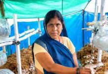 आत्मनिर्भरता की नई मिसाल- खेतों से मशरूम उत्पादन तक मिथिला दीदी ने लिखी सफलता की नई कहानी