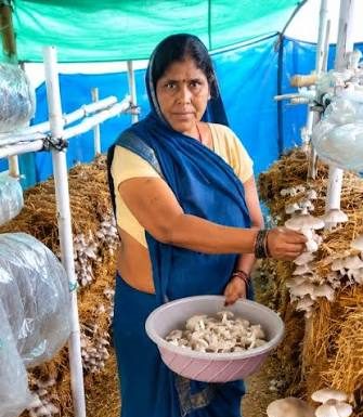 आत्मनिर्भरता की नई मिसाल- खेतों से मशरूम उत्पादन तक मिथिला दीदी ने लिखी सफलता की नई कहानी