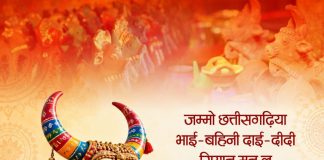पोरा तिहार पर वित्त मंत्री ओपी चौधरी ने प्रदेशवासियों को दी शुभकामनाएं