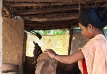 गणपति बप्पा की मिट्टी की प्रतिमा बनाकर बस्तर की महिलाओं ने हुनर से कमाए 1.80 लाख रुपए
