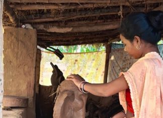 गणपति बप्पा की मिट्टी की प्रतिमा बनाकर बस्तर की महिलाओं ने हुनर से कमाए 1.80 लाख रुपए