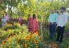 सेवा की कहानी : बिहान दीदियों की फूलों की खेती बनी आत्मनिर्भरता की मिसाल