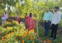 सेवा की कहानी : बिहान दीदियों की फूलों की खेती बनी आत्मनिर्भरता की मिसाल