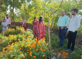 सेवा की कहानी : बिहान दीदियों की फूलों की खेती बनी आत्मनिर्भरता की मिसाल
